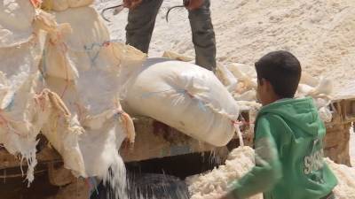 В сирийской Пальмире возобновили добычу пищевой соли - tvc.ru - Россия - Сирия - Пальмира