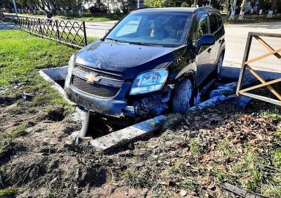 В Новомичуринске ищут хозяина изуродованного Chevrolet - ya62.ru - Рязань - Новомичуринск
