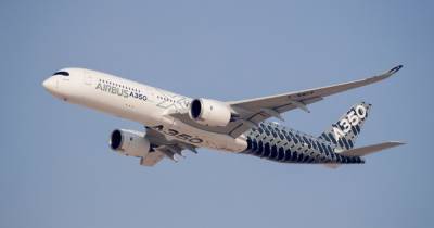 Подстаканники вызвали остановку двигателей Airbus A350 в воздухе - popmech.ru - Франция