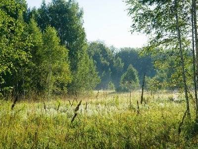 Погода в Армении - news.am - Армения - Ереван