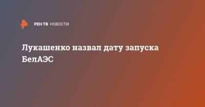 Александр Лукашенко - Лукашенко назвал дату запуска БелАЭС - ren.tv - Россия - Белоруссия - Гродненская обл. - Островец