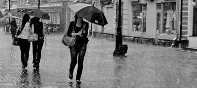 МЧС объявило штормовое предупреждение в Карелии из-за ливней и ветра - stolicaonego.ru - Петрозаводск - район Суоярвский - республика Карелия