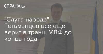 Даниил Гетманцев - "Слуга народа" Гетьманцев все еще верит в транш МВФ до конца года - strana.ua - Украина