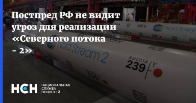 Алексей Навальный - Владимир Чижов - Постпред РФ не видит угроз для реализации «Северного потока - 2» - nsn.fm - Россия - США - Германия