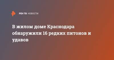 В жилом доме Краснодара обнаружили 16 редких питонов и удавов - ren.tv - Краснодар