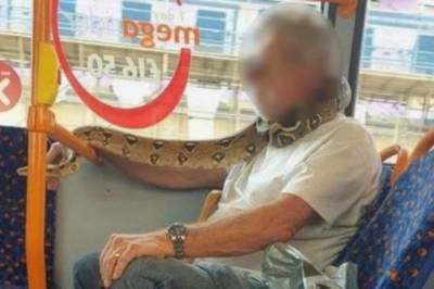 Британец использовал змею как "маску" в транспорте - vkcyprus.com
