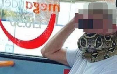 Британец надел живую змею вместо маски - korrespondent.net - Англия