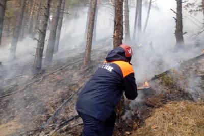 В Карачаево-Черкесии загорелось почти 7 га леса - etokavkaz.ru - респ. Карачаево-Черкесия