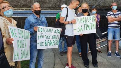 На Банковой митингуют против поедания убитых коней - sharij.net - Украина - Киев