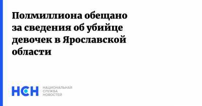 Дмитрий Миронов - Виталий Молчанов - Полмиллиона обещано за сведения об убийце девочек в Ярославской области - nsn.fm - Ярославская обл. - Рыбинск