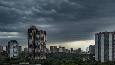 МЧС выпустило экстренное предупреждение о грозе и сильном ветре в Подмосковье - iz.ru - Россия - Московская обл.