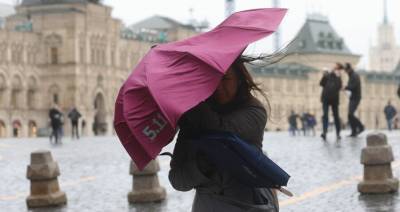 Москвичей предупредили об усилении ветра до 26 м/с - m24.ru - Москва