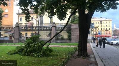 Михаил Леус - Nation News - Метеоролог: пик штормового ветра в Петербурге ожидают в ночь на пятницу - nation-news.ru - Ленинградская обл. - Санкт-Петербург - Финляндия