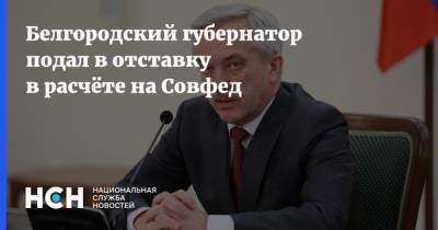 Евгений Савченко - Белгородский губернатор подал в отставку в расчёте на Совфед - nsn.fm - Россия - Белгородская обл. - Белгород