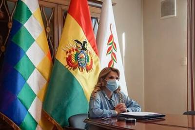 Аньес Жанин - Временный президент Боливии сняла свою кандидатуру с предстоящих выборов - lenta.ru - Боливия