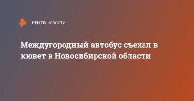 Междугородный автобус съехал в кювет в Новосибирской области - ren.tv - Новосибирск - Барнаул - Новосибирская обл. - район Черепановский