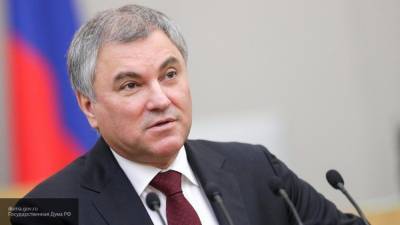 Алексей Навальный - Вячеслав Володин - Володин заявил о причастности зарубежных спецслужб к ситуации с Навальным - polit.info - Россия