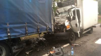 В Дзержинском районе столкнулись два грузовика - есть пострадавший - belta.by - Минск - район Дзержинский