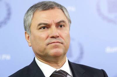 Алексей Навальный - Вячеслав Володин - Володин: за провокацией с Навальным стоят спецслужбы иностранных государств - pnp.ru