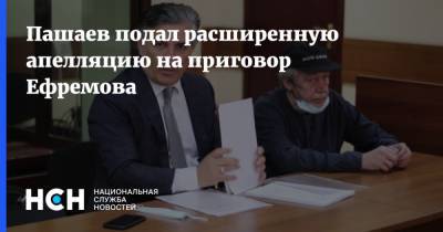 Михаил Ефремов - Эльман Пашаев - Пашаев подал расширенную апелляцию на приговор Ефремова - nsn.fm - Россия