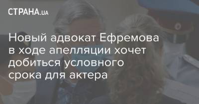 Михаил Ефремов - Эльман Пашаев - Новый адвокат Ефремова в ходе апелляции хочет добиться условного срока для актера - strana.ua - Москва