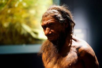 В Италии археологи нашли детский зуб одного из последних неандертальцев - aif.ru - Бельгия - Италия