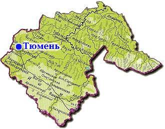 Александр Моор - Галина Шарухо - Оперштаб: речи о введении самоизоляции в Тюменской области не идёт - nakanune.ru - Тюменская обл.