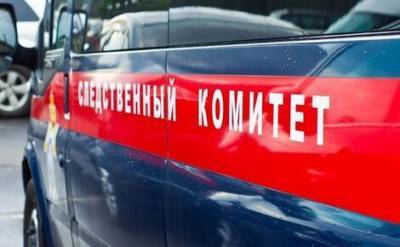 Виталий Молчанов - Следственный комитет сообщил о задержании подозреваемого в убийстве детей в Ярославской области - echo.msk.ru - Ярославская обл. - Рыбинск
