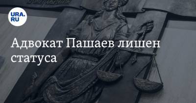 Михаил Ефремов - Эльман Пашаев - Адвокат Пашаев лишен статуса - ura.news - Россия - респ. Алания