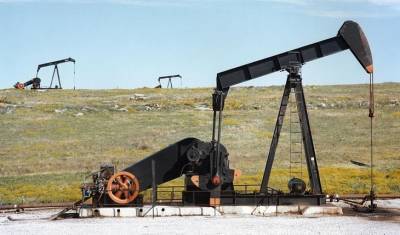 Халифа Хафтар - Хафтар одобрил возобновление добычи и экспорта нефти ради единства Ливии и ее народа - mirnov.ru - Ливия