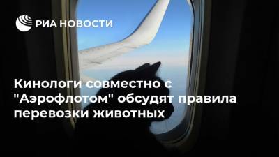 Владимир Голубев - Виталий Савельев - Кинологи совместно с "Аэрофлотом" обсудят правила перевозки животных - ria.ru - Москва - Россия - Дальний Восток