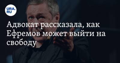 Михаил Ефремов - Эльман Пашаев - Адвокат рассказала, как Ефремов может выйти на свободу - ura.news