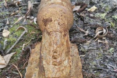 Омский грибник обнаружил в лесу неразорвавшийся минометный снаряд - tayga.info - Омская обл. - Суперомск