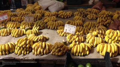 Наталья Пугачева - Диетолог объяснила пользу бананов для нервной системы - nation-news.ru - Москва