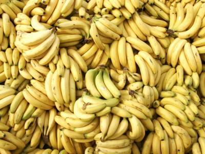 Наталья Пугачева - Врачи рассказали о невероятной пользе бананов для нервов - golos.ua
