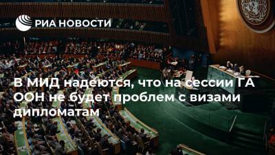 Петр Ильичев - В МИД надеются, что на сессии ГА ООН не будет проблем с визами дипломатам - ria.ru - Москва - Россия - США