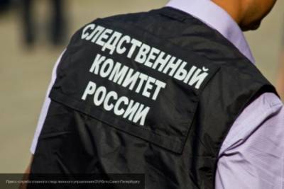 Спасатели отыскали труп женщины в набитой мусором квартире на Пражской - newinform.com - Санкт-Петербург - Петербург
