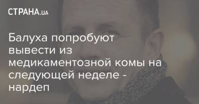 Ирина Геращенко - Балуха попробуют вывести из медикаментозной комы на следующей неделе - нардеп - strana.ua - Киевская обл.