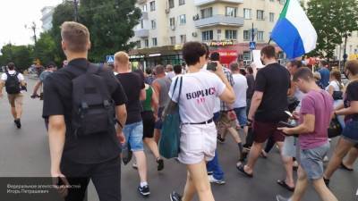 Виталий Милонов - Милонов объяснил, кто превращает мирные акции в незаконные шествия - nation-news.ru - Хабаровск