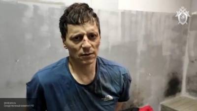 Виталий Молчанов - Рыбинского маньяка доставили в СИЗО - inforeactor.ru - Омск - София