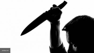 Полиция задержала чуть не зарезавшего троих людей в Подмосковье мужчину - newinform.com - Московская обл. - Рязань