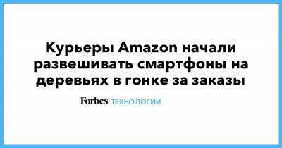Курьеры Amazon начали развешивать смартфоны на деревьях в гонке за заказы - forbes.ru