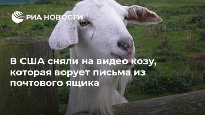 В США сняли на видео козу, которая ворует письма из почтового ящика - ria.ru - Москва - США - штат Алабама