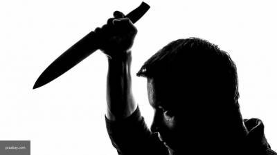 Опубликованы детали кровавой резни в подмосковном детском саду - inforeactor.ru - Московская обл.