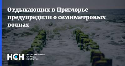 Петр ВЕЛИКИЙ (Великий) - Отдыхающих в Приморье предупредили о семиметровых волнах - nsn.fm - Приморье край