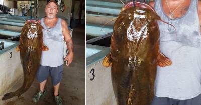 Американский рыбак выловил сома весом более 30 кг - ren.tv - USA - шт.Флорида