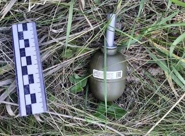 В Башкирии отдыхающие в траве нашли гранату - ufacitynews.ru - Башкирия - район Туймазинский