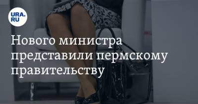 Дмитрий Махонин - Нового министра представили пермскому правительству - ura.news - Пермь - Пермский край