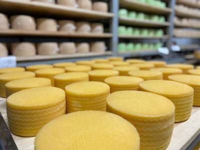 Молочная неделя проходит в рамках онлайн-фестиваля «Алтайские продукты: вкусно есть полезно» - rosbalt.ru - Алтайский край