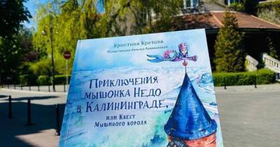 Русалки, хомлины и солнечные часы: в Калининградской области снимут мультфильм про мышонка Недо и его приключения (фото) - klops.ru - Калининград - Калининградская обл.